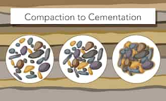Vector gratuito proceso de compactación a cementación para educación