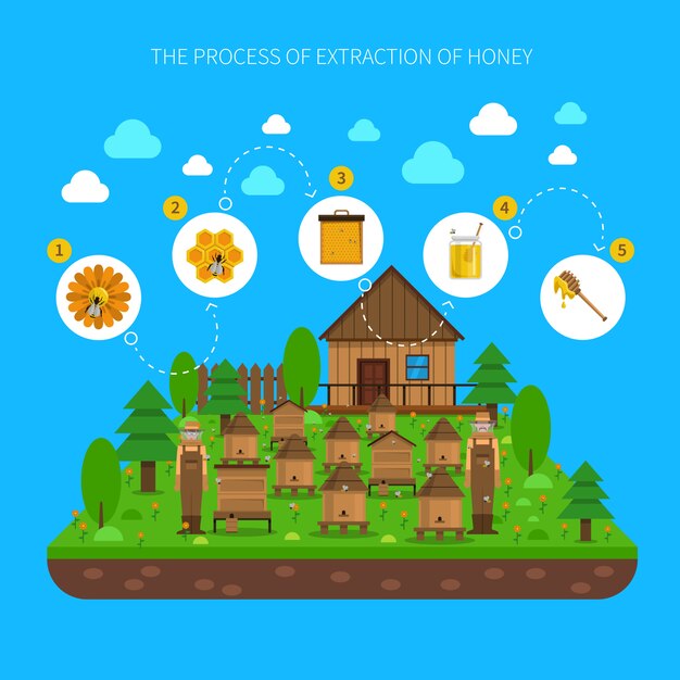 Proceso del concepto de extracción de miel