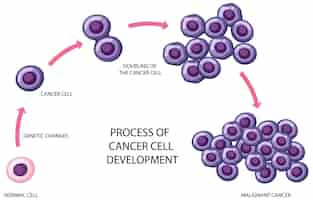 Vector gratuito proceso de desarrollo de células cancerosas.