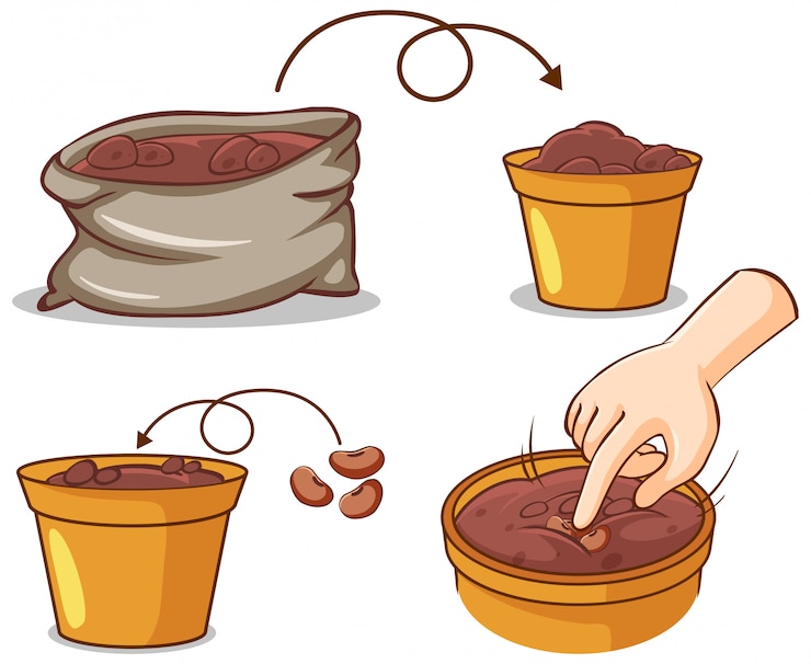 Vector gratuito proceso diferente de plantar árboles