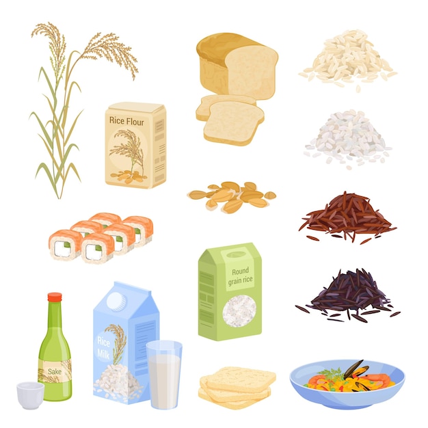Productos de arroz con iconos aislados e imágenes planas de leche de pan de semilla y rollos de sushi ilustración vectorial