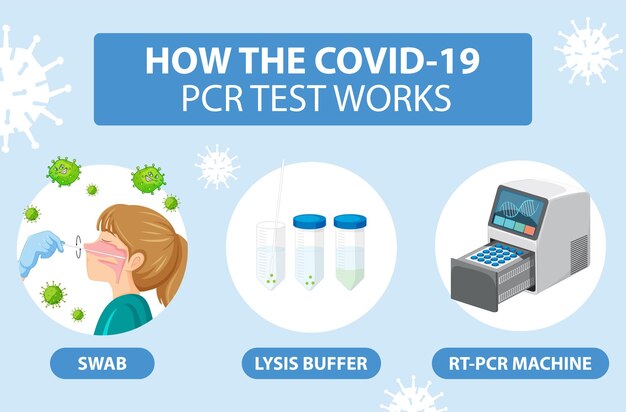 Prueba de covid 19 con kit de prueba de antígeno