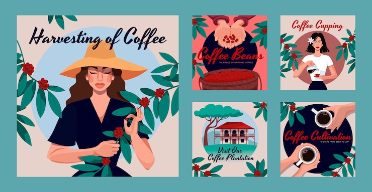 Vector gratuito publicación de instagram de plantación de café dibujada a mano