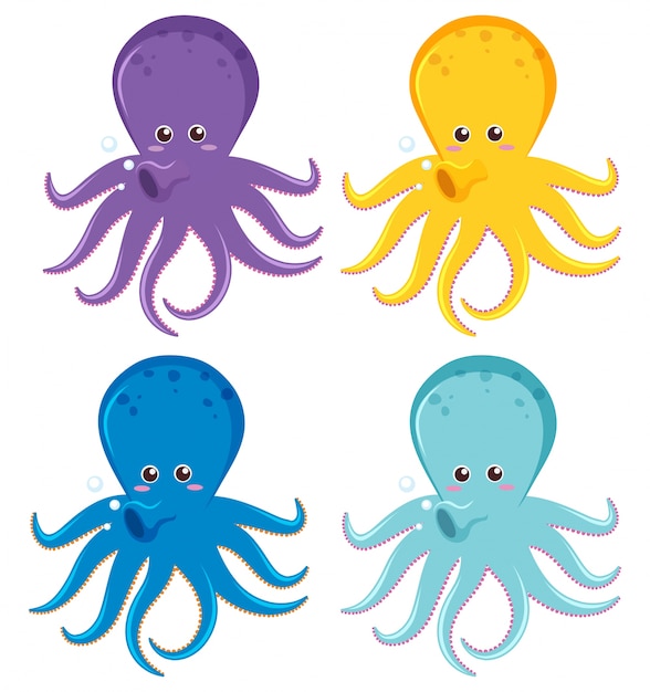 Pulpo en cuatro colores diferentes