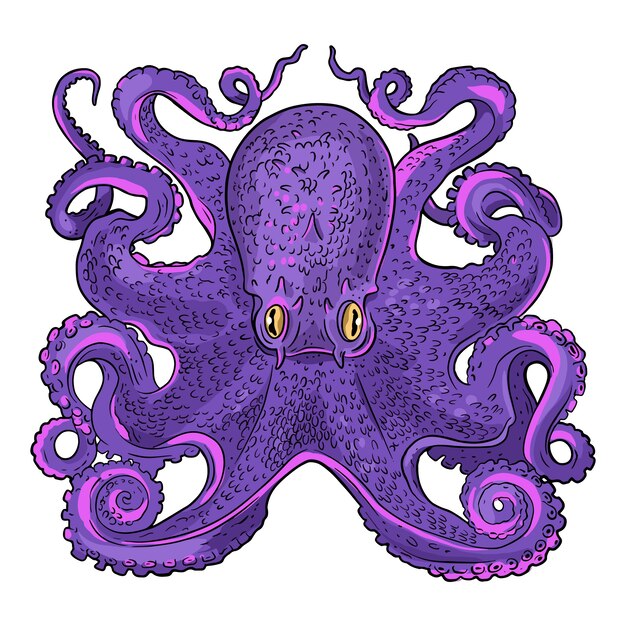 Pulpo realista dibujado a mano