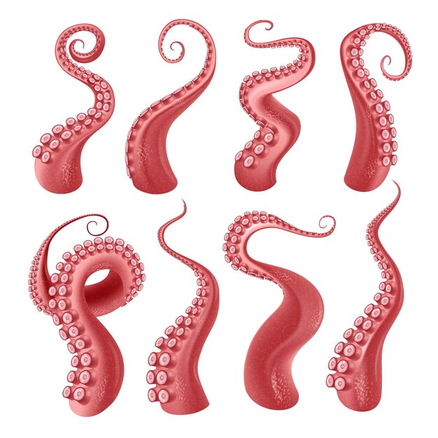 Pulpo rojo o tentáculos de kraken con ventosas conjunto realista aislado en la ilustración de vector de fondo blanco