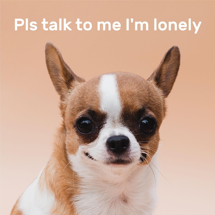 Vector gratuito qué lindo meme de animal solitario.