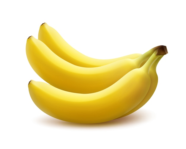 Racimo de plátano amarillo maduro vector aislado sobre fondo blanco