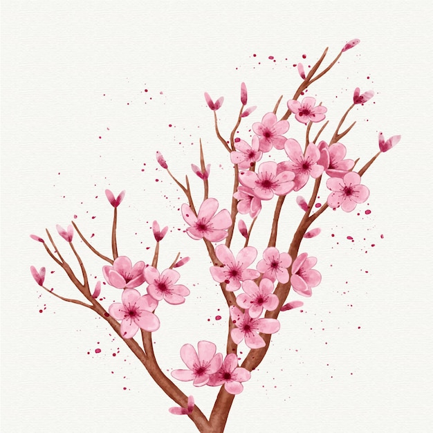 Vector gratuito rama de acuarela de flor de sakura