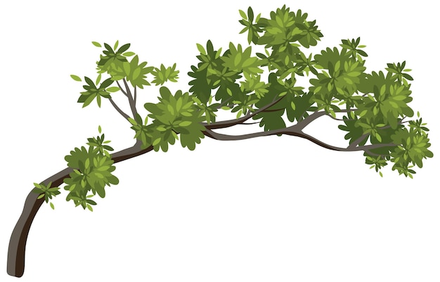 Vector gratuito rama de un árbol aislado sobre fondo blanco.