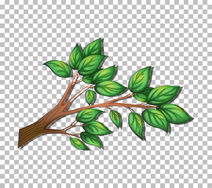 Vector gratuito rama de árbol sobre fondo transparente