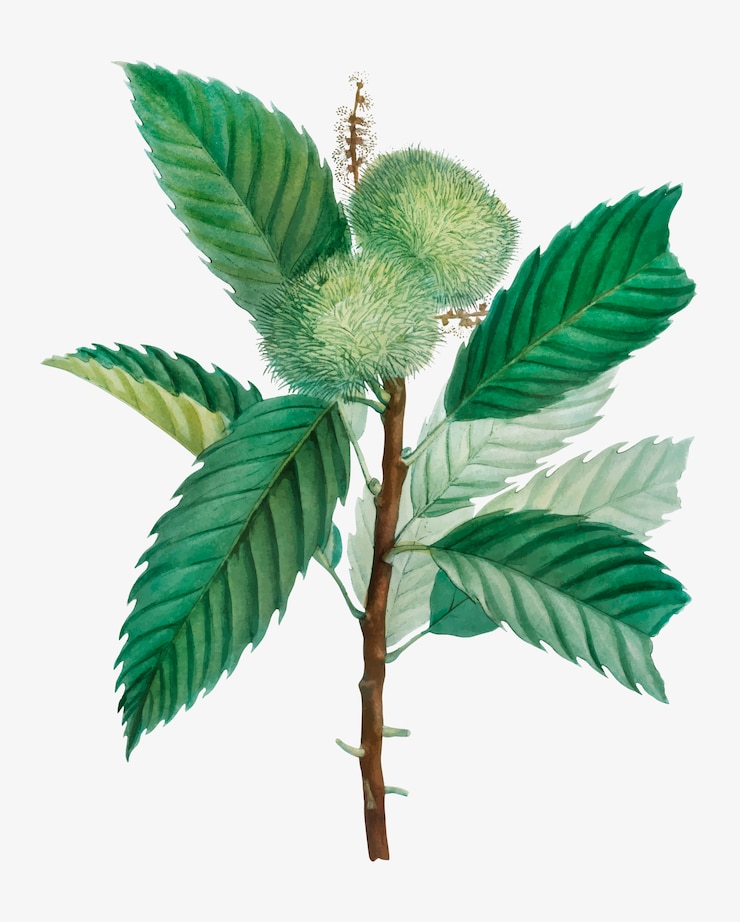 Vector gratuito rama de árbol