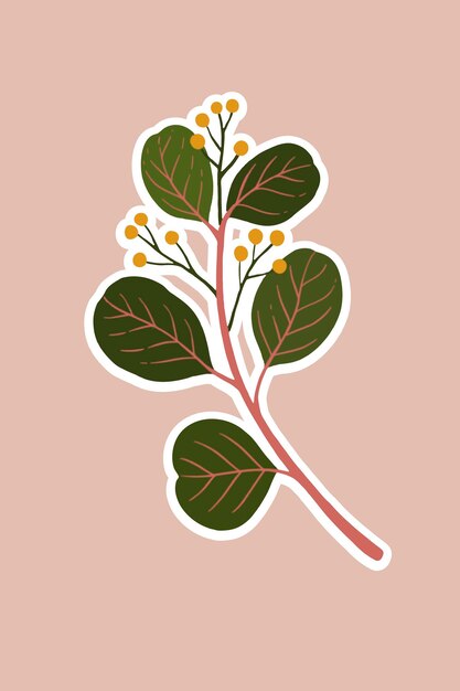 Rama de eucalipto con vector de semillas