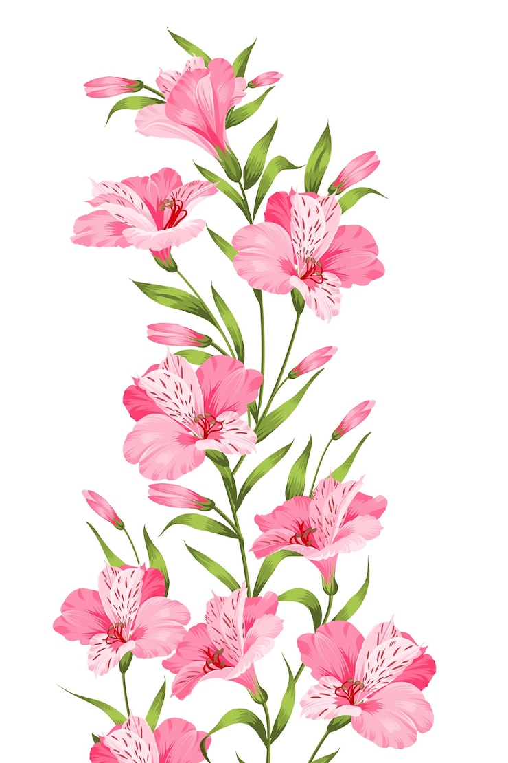 Vector gratuito rama de flor de alstromeria aislada sobre fondo blanco.