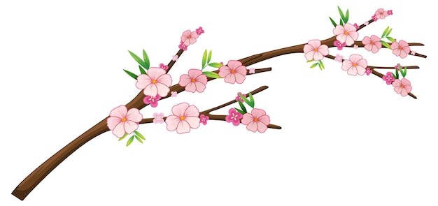Vector gratuito rama de flor de cerezo aislada