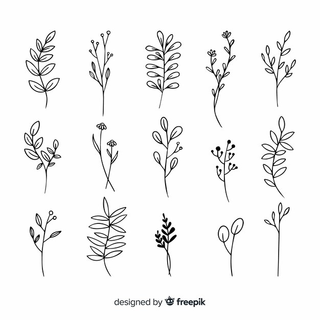 Rama con hojas de dibujo ornamental