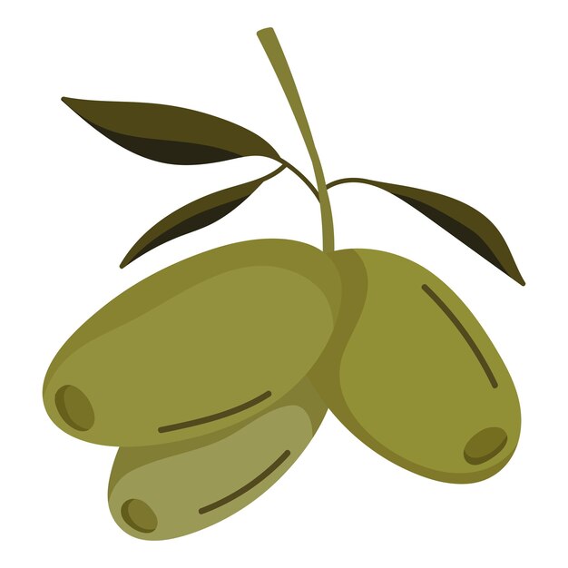 rama de olivo icono de la naturaleza saludable aislado