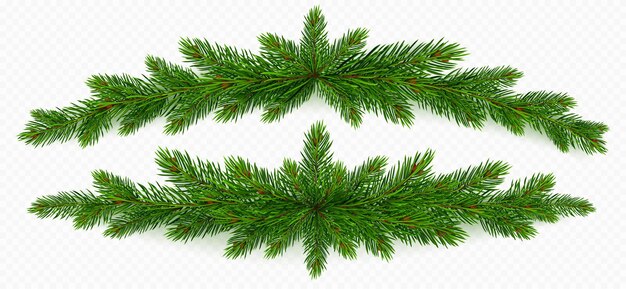 La rama del pino, la guirnalda de Navidad, la rama del abeto verde.