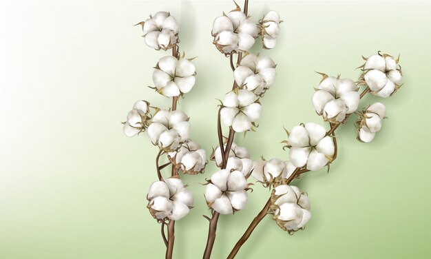 Ramas de algodón realistas con flores y tallos.