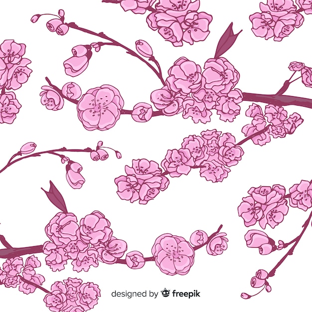 Ramas y flores de cerezo dibujadas a mano