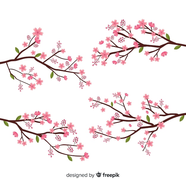 Vector gratuito ramas y flores de cerezo dibujadas a mano