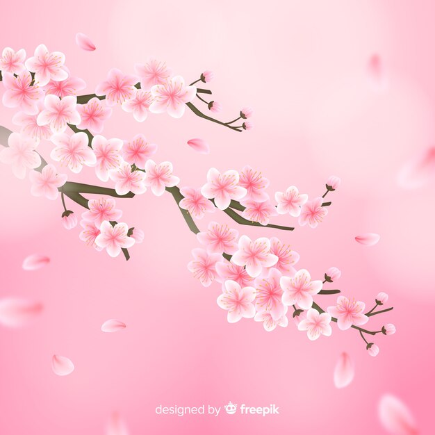 Ramas y flores realistas de cerezo