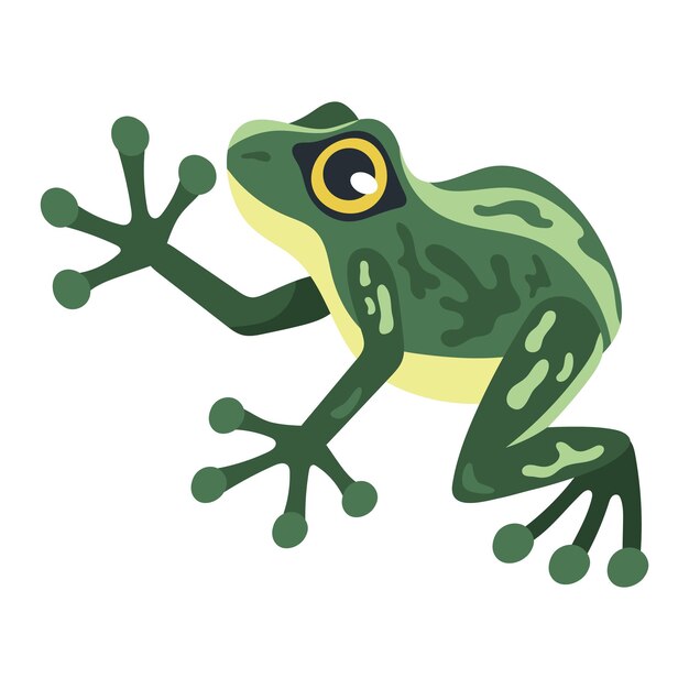 rana verde animal exótico