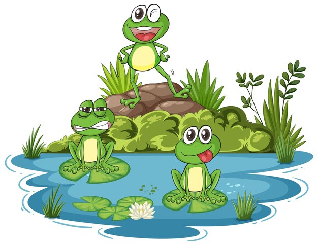 Ranas lúdicas junto al estanque