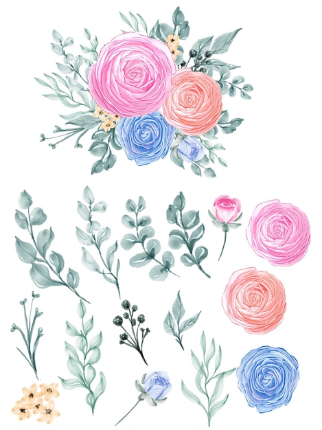 Vector gratuito ranunculus aislamiento acuarela flor y hoja.