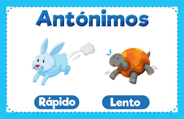 Rapido y Lento Antonym Word Card en español significa rápido y lento