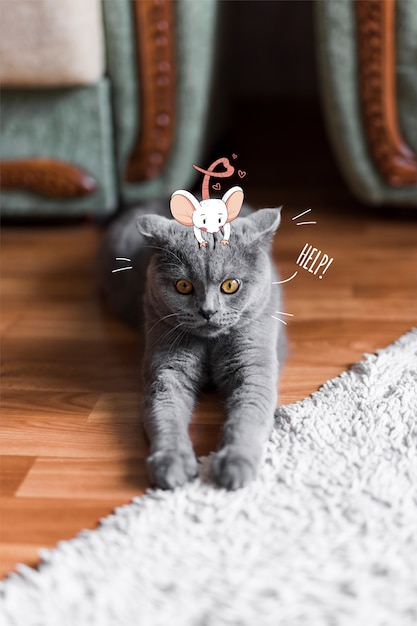 Ratón bonito dibujado a mano en la cabeza de un gato