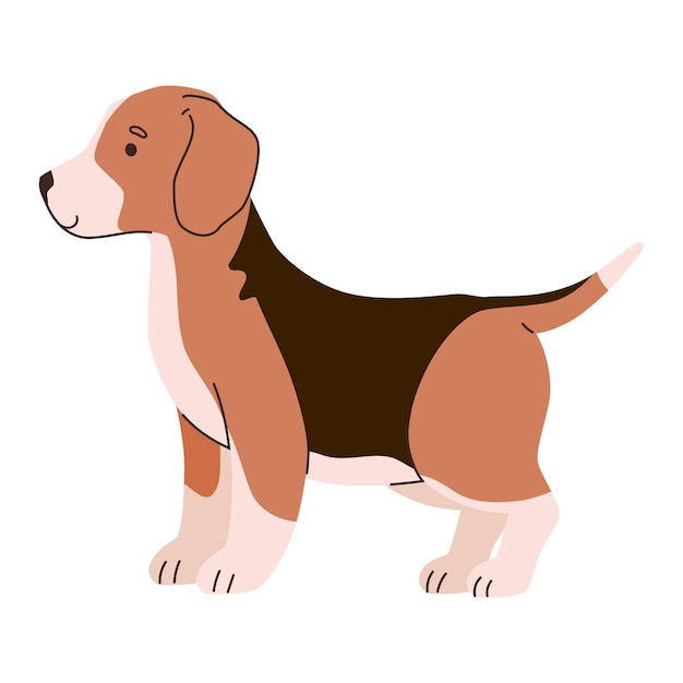 raza de perro beagle