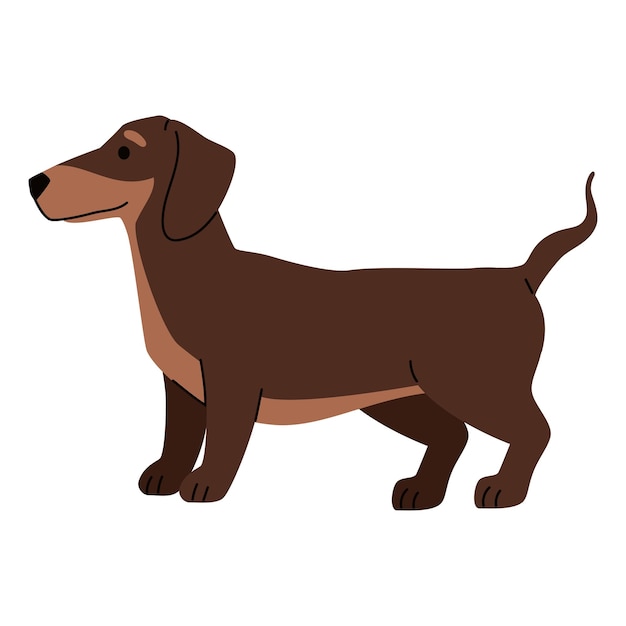 raza de perro dachshund
