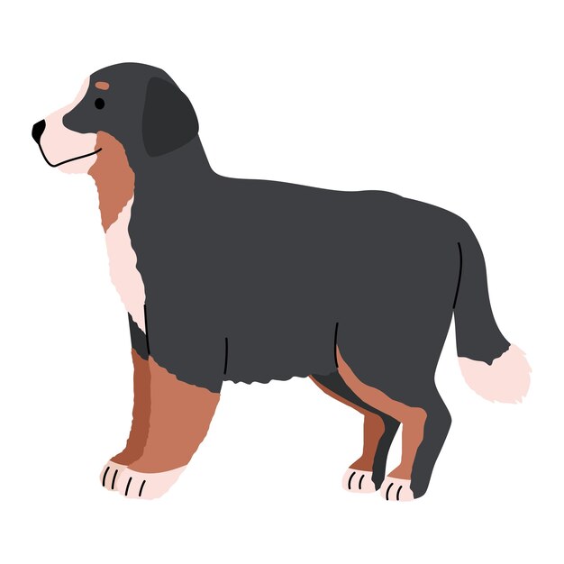 raza de perro de la montaña bernese