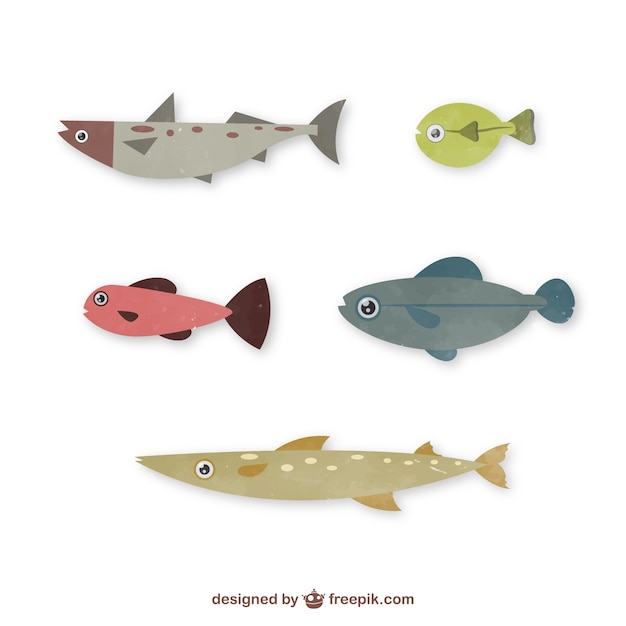 Vector gratuito razas de peces