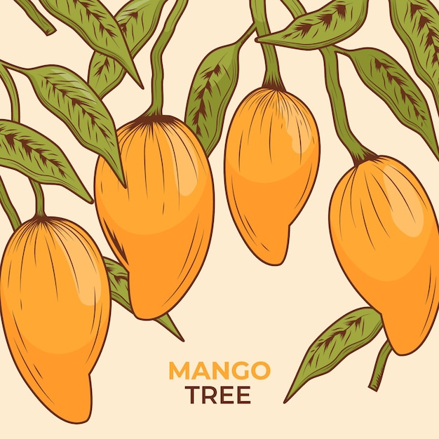 Árbol de mango botánico con hojas.