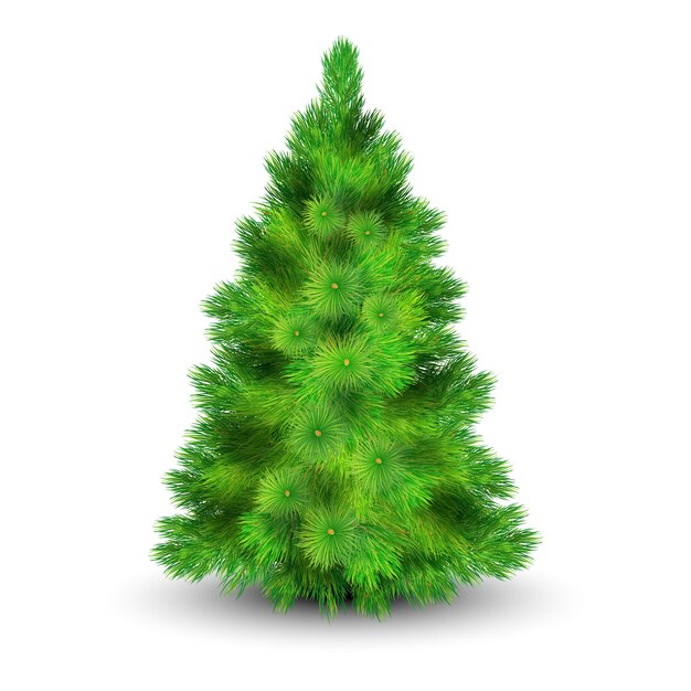 Árbol de Navidad con ramas verdes para decorar la casa ilustración vectorial realista