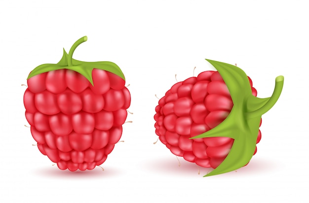 Vector gratuito realista rojo frambuesas maduras aisladas sobre fondo. fruta de verano natural