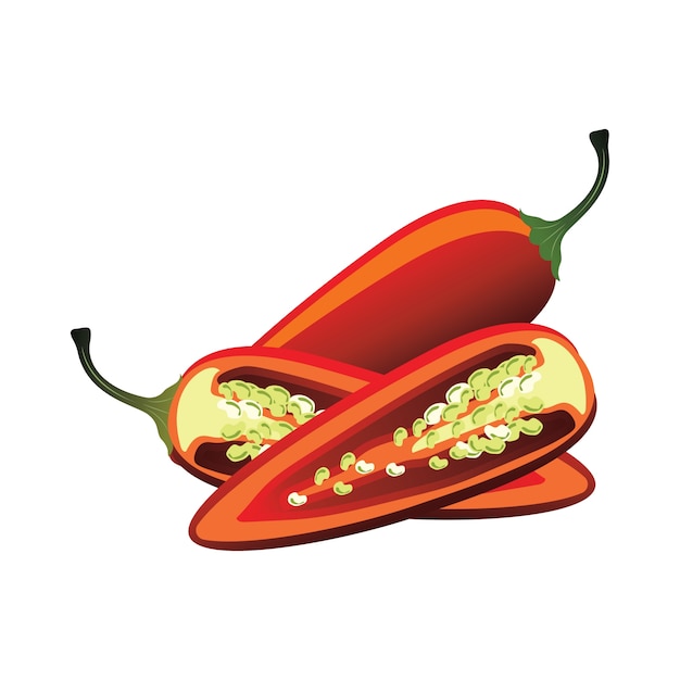 Rebanadas de pimiento jalapeño crudo. Ilustración vectorial