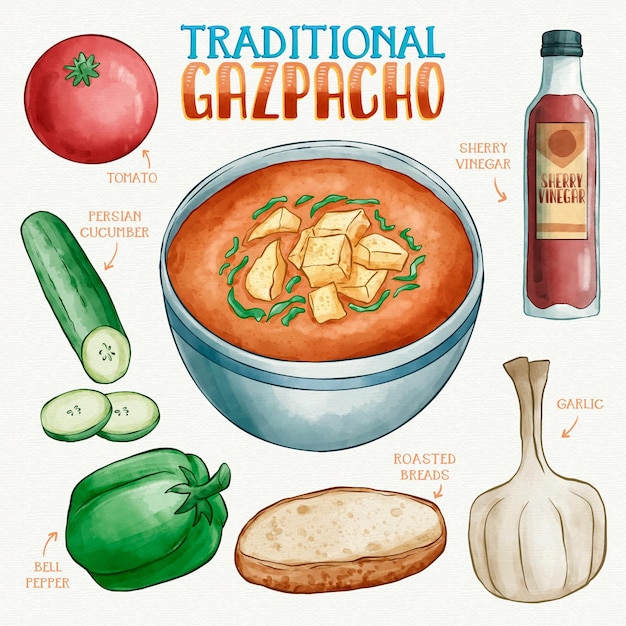 Vector gratuito recetas tradicionales de gazpacho