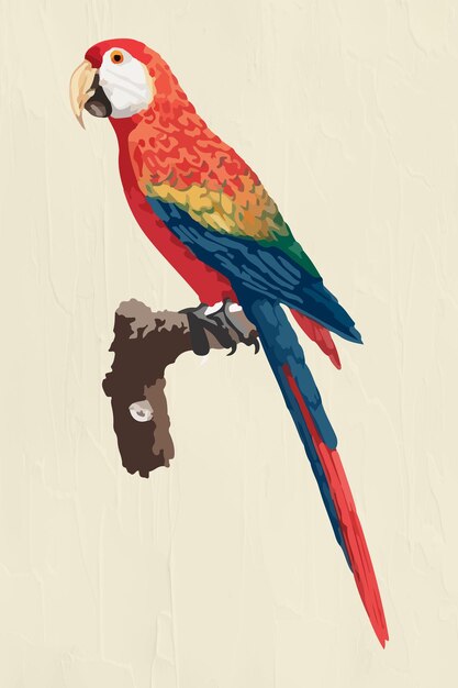 Recurso de diseño de pegatina de araracanga colorido vectorizado