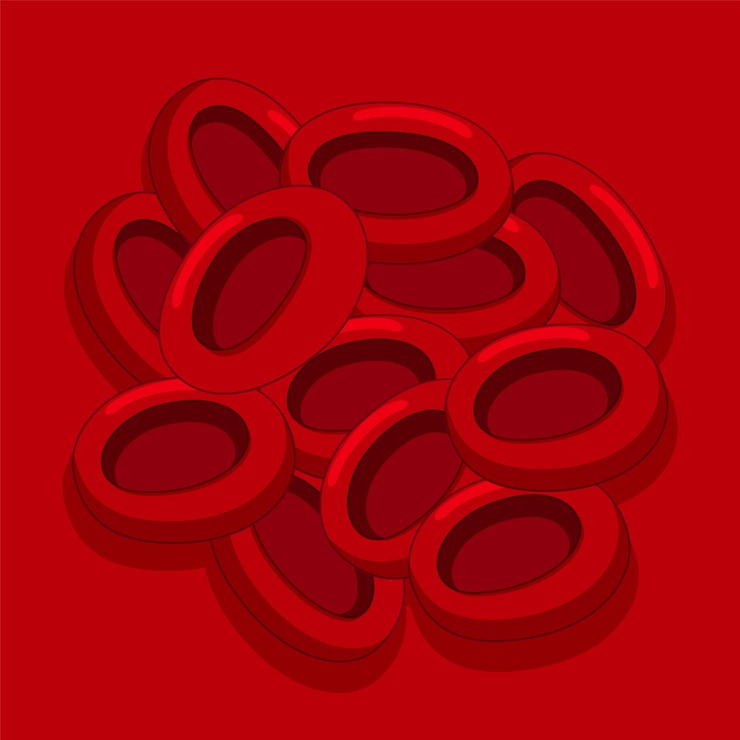 Vector gratuito red blood cells vector illustration