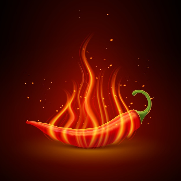 Red Chili Pepper Realista Unico Objeto
