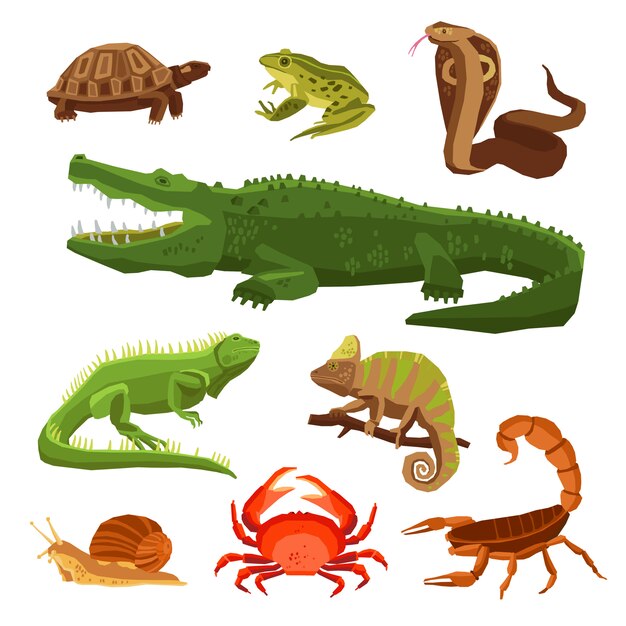 Reptiles y anfibios establecidos