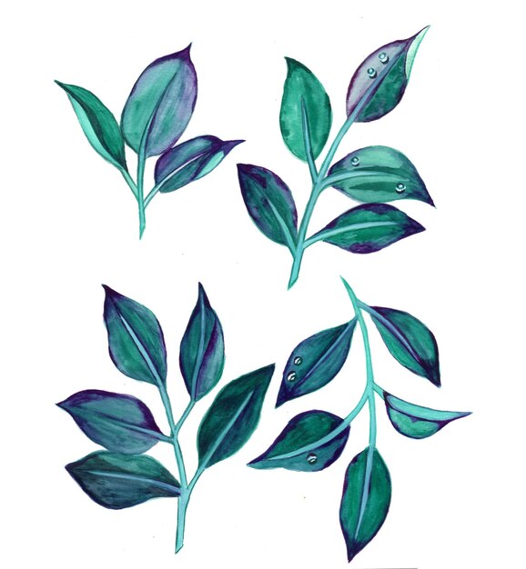 Resumen hojas elemento verde azul acuarela fondo ilustración alta resolución Foto gratis