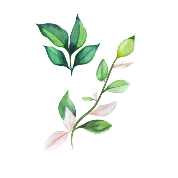 Resumen hojas elemento verde rosa acuarela fondo ilustración alta resolución Foto gratis