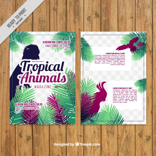 Vector gratuito revista de pájaros exóticos de colores