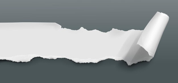 Rizo de página de papel rasgado con hoja vectorial de borde rasgado Superficie de lienzo limpia con aviso enrollado de rasguño Diseño de pieza de etiqueta de nota o documento con borde de sombra y daño Gráfico de fragmento de rollo largo en blanco