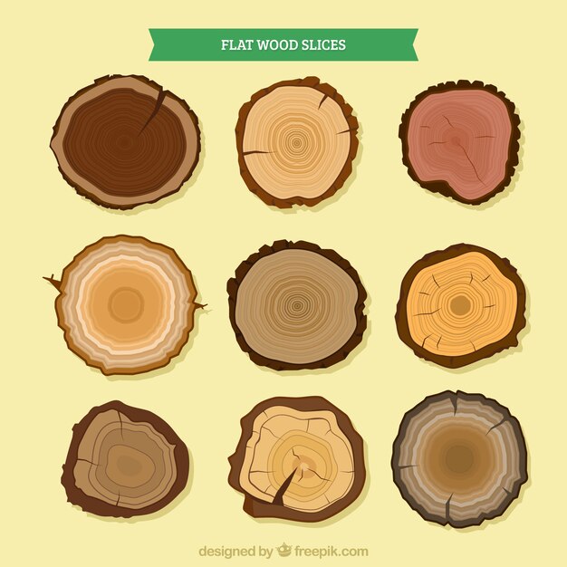 Rodajas de madera de diferentes tipos de árboles