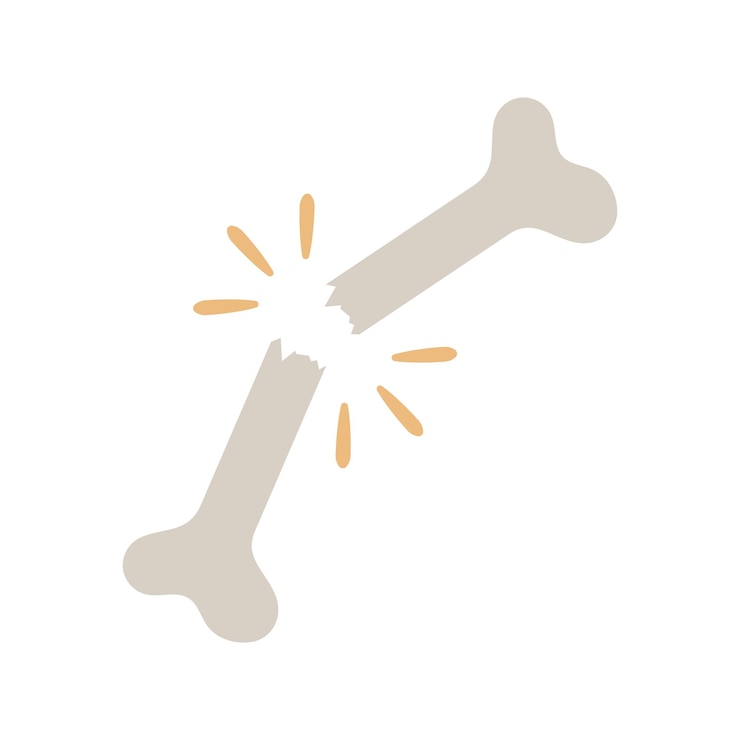 Vector gratuito se rompió la mitad del hueso.